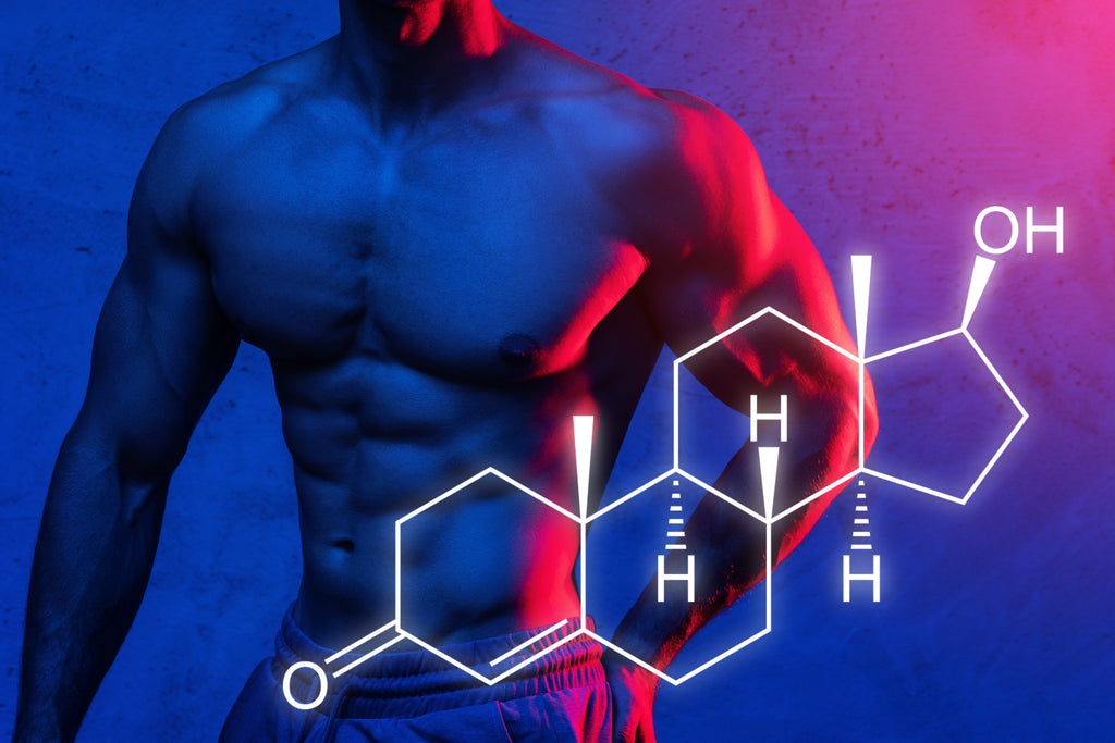Does Deer Antler Velvet Boost Testosterone?