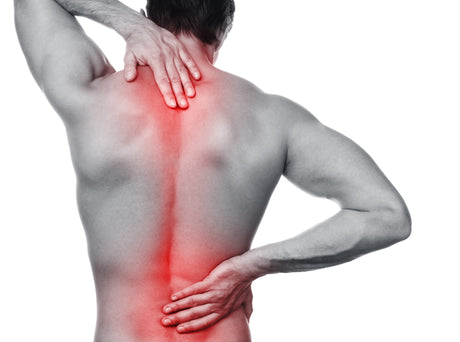 Deer Antler Velvet For Back Pain