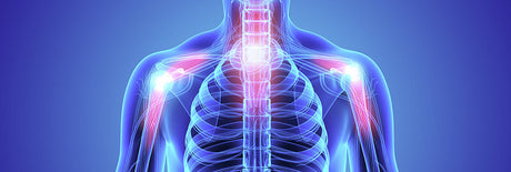 IGF-1 Supplements Help Support Healthy Joints