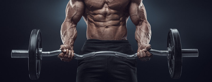 Does Velvet Deer Antler Increase Testosterone Levels In Humans?