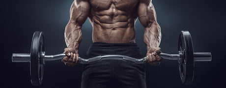 Does Velvet Deer Antler Increase Testosterone Levels In Humans?