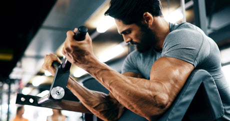 How Deer Antler Velvet Boosts Your Muscular Strength