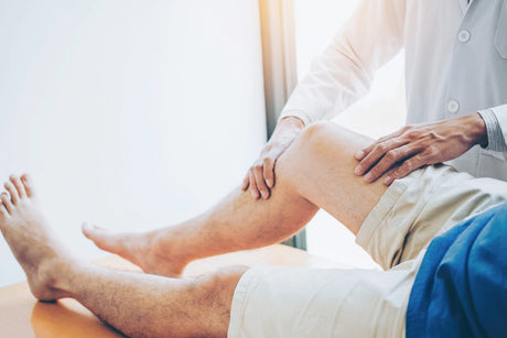 IGF-1 And Tendon Repair