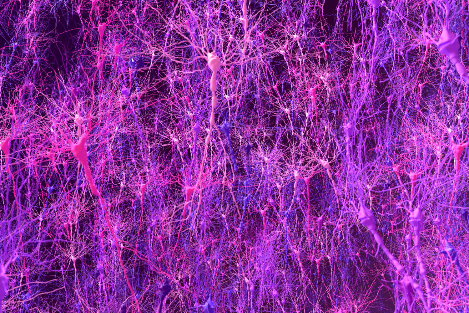 IGF-1 for Brain Neuroplasticity