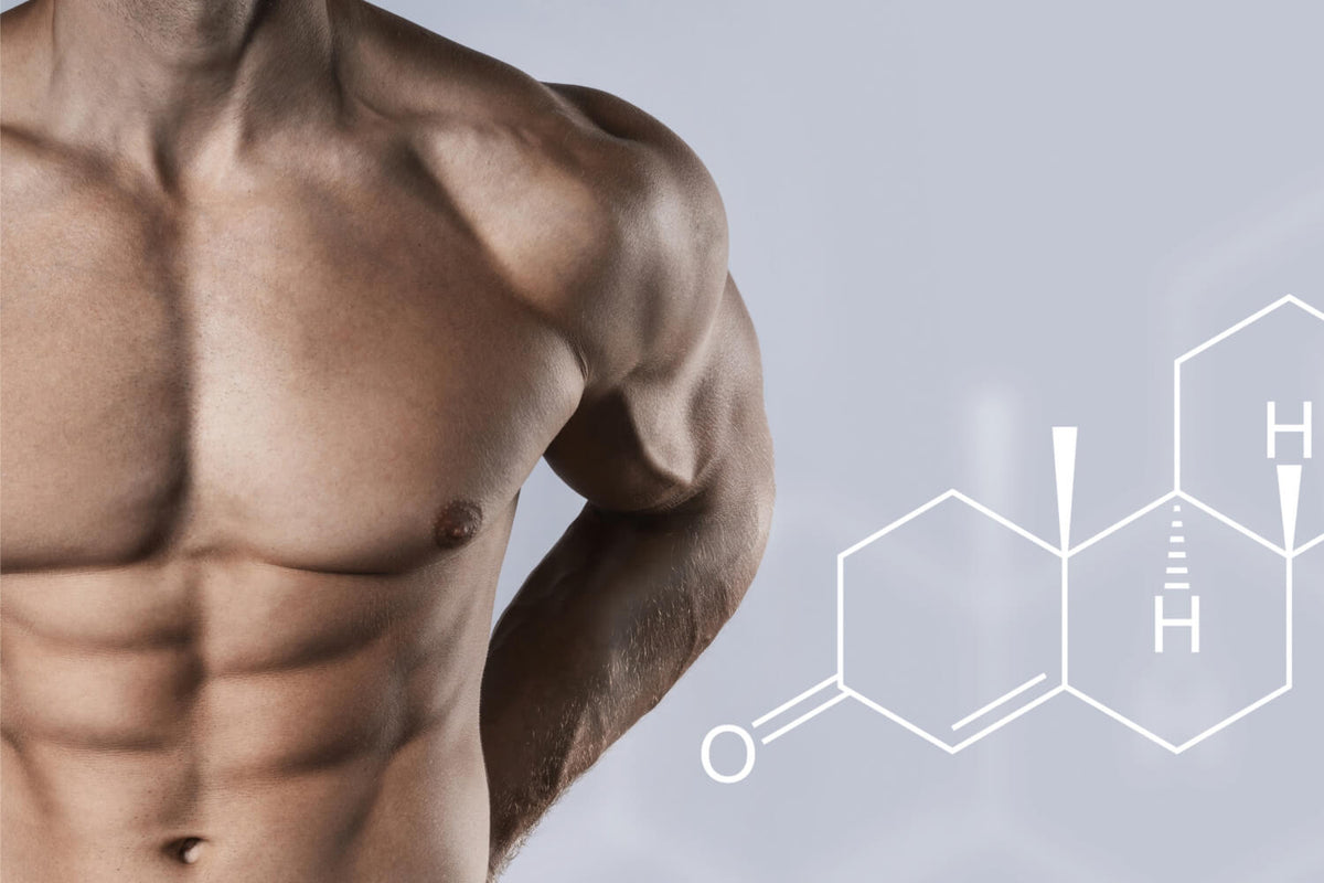 Safety of Testosterone Boosters Nutronics Labs