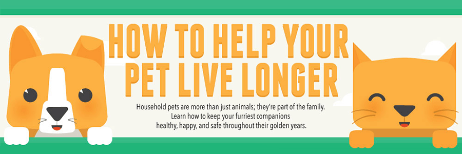 How To Help Your Pet Live Longer