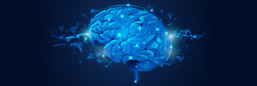 IGF-2 May Enhance Memory and Prevent The Loss of Long-term Memory