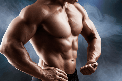 Best Muscle Building Supplements