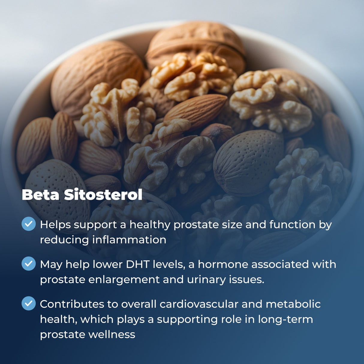 Prostate Plus