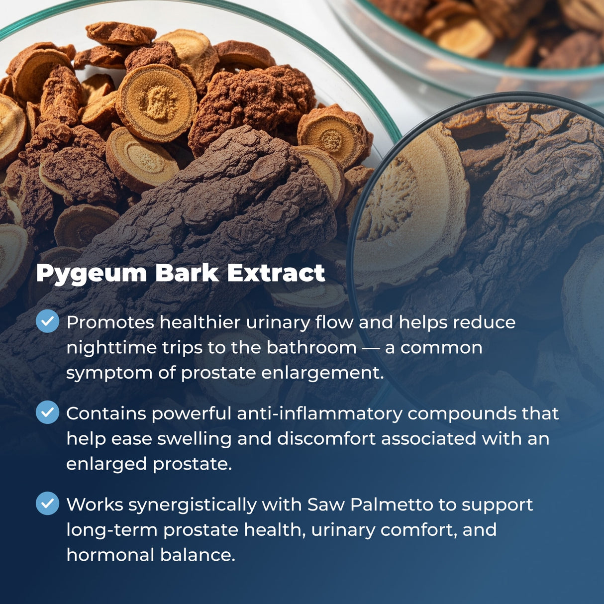 Prostate Plus