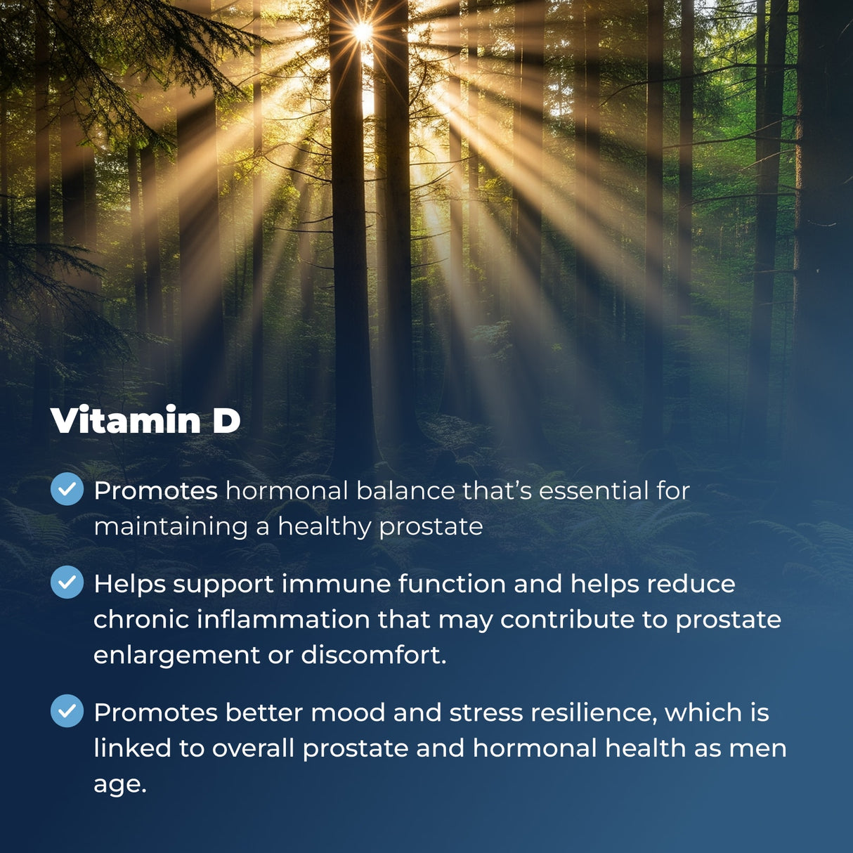 Prostate Plus
