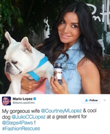 Vel Pet Plus for Dogs