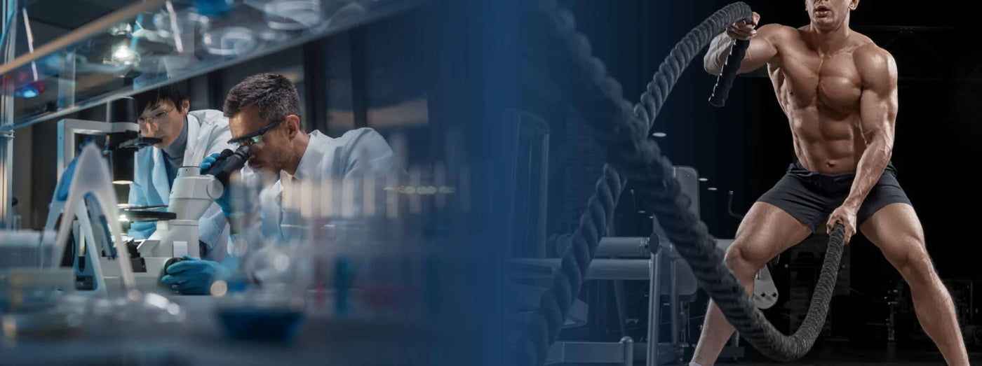 Split image showing scientists in a laboratory examining samples under a microscope on the left and a muscular man performing battle rope exercises in a gym on the right, illustrating the connection between scientific research and fitness performance with Nutronics Labs IGF-1 Plus. 