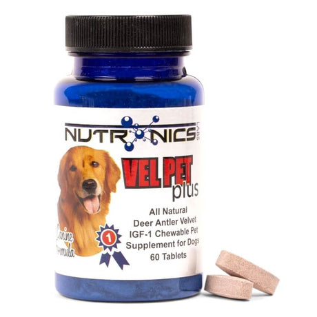 A blue plastic bottle with a black cap labeled Vel Pet Plus, an all-natural deer antler velvet supplement for dogs, is displayed. The label features the brand name Nutronics Labs, a graphic of a golden retriever, and the text indicating it is a chewable pet supplement containing 60 tablets. Two light brown tablets are placed beside the bottle.